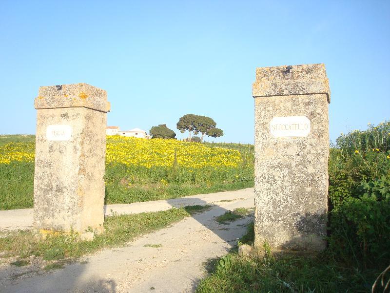 Agriturismo Tenuta Stoccatello Menfi Luaran gambar