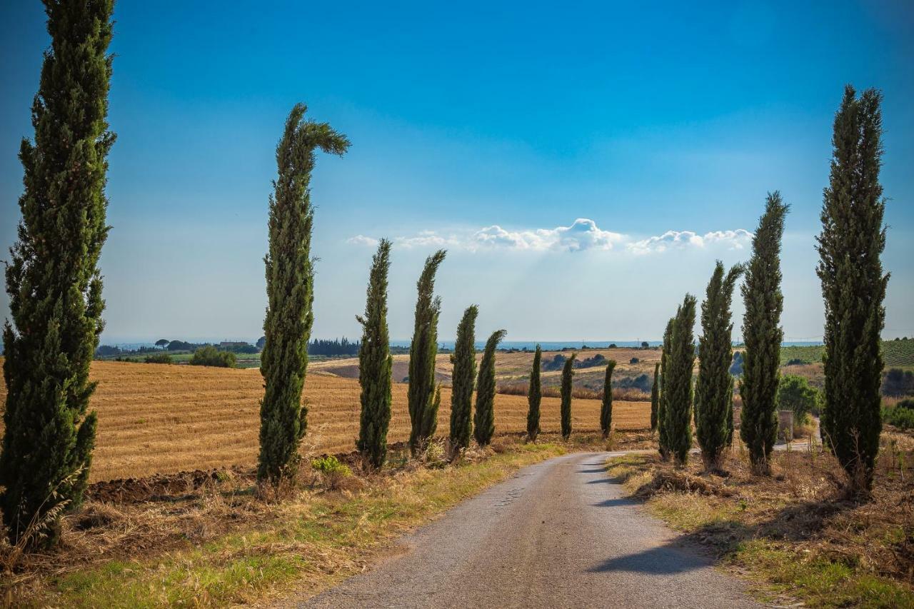 Agriturismo Tenuta Stoccatello Menfi Luaran gambar